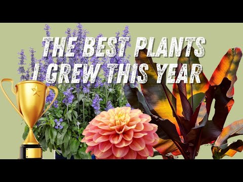 The best plants I grew in 2022 ??